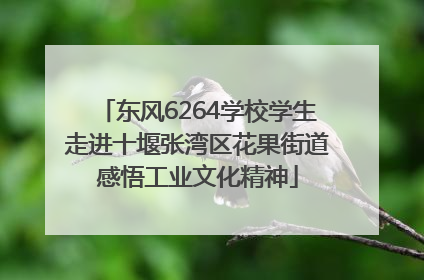 东风6264学校学生走进十堰张湾区花果街道感悟工业文化精神