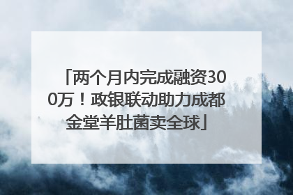 两个月内完成融资300万！政银联动助力成都金堂羊肚菌卖全球