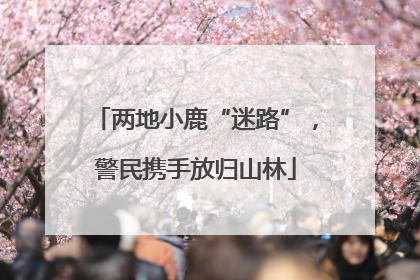 两地小鹿“迷路”，警民携手放归山林