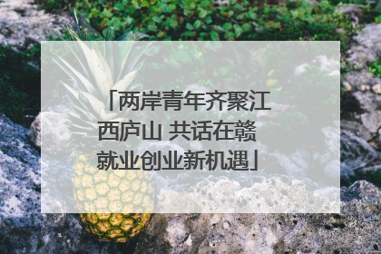 两岸青年齐聚江西庐山 共话在赣就业创业新机遇