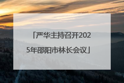 严华主持召开2025年邵阳市林长会议