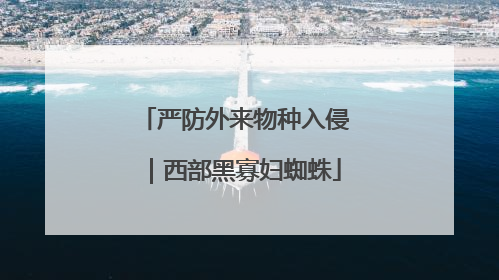 严防外来物种入侵｜西部黑寡妇蜘蛛
