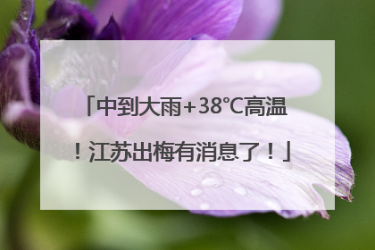 中到大雨+38℃高温！江苏出梅有消息了！