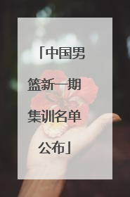 中国男篮新一期集训名单公布