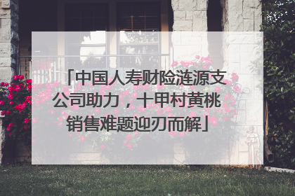 中国人寿财险涟源支公司助力，十甲村黄桃销售难题迎刃而解