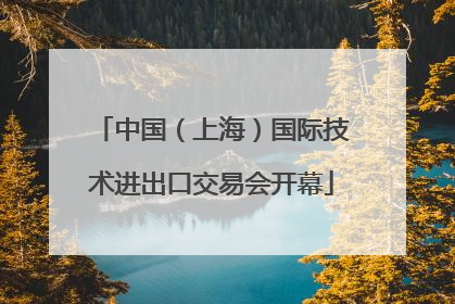 中国（上海）国际技术进出口交易会开幕