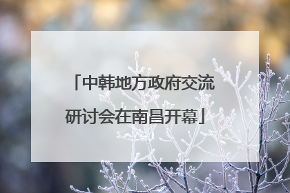 中韩地方政府交流研讨会在南昌开幕