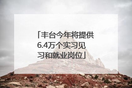 丰台今年将提供6.4万个实习见习和就业岗位
