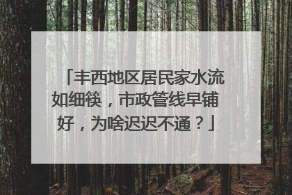 丰西地区居民家水流如细筷，市政管线早铺好，为啥迟迟不通？