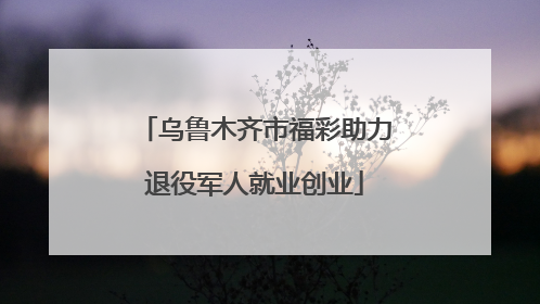 乌鲁木齐市福彩助力退役军人就业创业