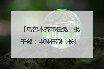 乌鲁木齐市任免一批干部：申琳任副市长