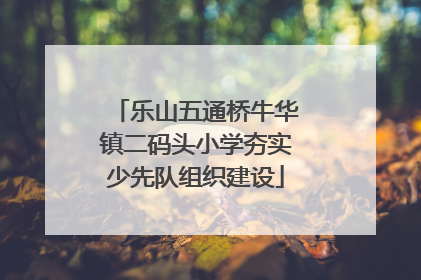 乐山五通桥牛华镇二码头小学夯实少先队组织建设