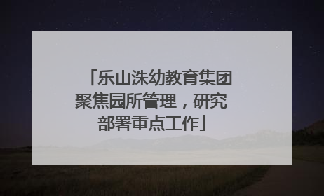 乐山洙幼教育集团聚焦园所管理，研究部署重点工作
