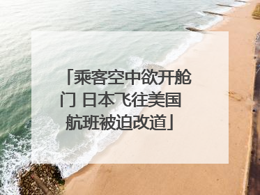 乘客空中欲开舱门 日本飞往美国航班被迫改道
