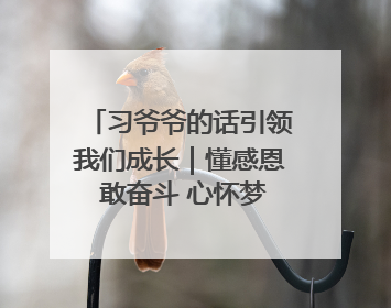 习爷爷的话引领我们成长｜懂感恩 敢奋斗 心怀梦想向未来