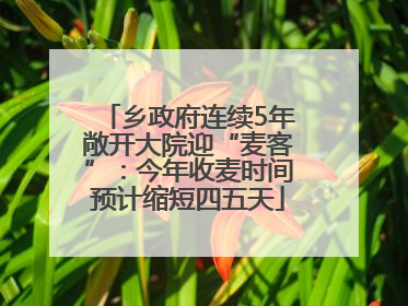 乡政府连续5年敞开大院迎“麦客”：今年收麦时间预计缩短四五天