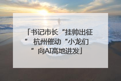 书记市长“挂帅出征” 杭州催动“小龙们”向AI高地进发