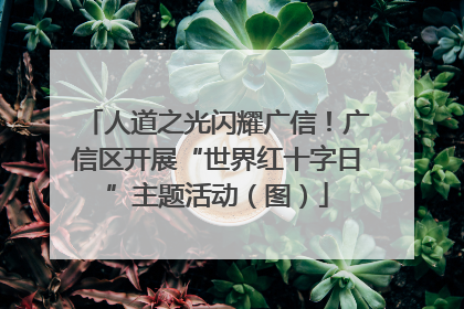 人道之光闪耀广信！广信区开展“世界红十字日”主题活动（图）