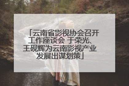 云南省影视协会召开工作座谈会 于荣光、王砚辉为云南影视产业发展出谋划策
