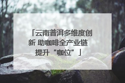 云南普洱多维度创新 助咖啡全产业链提升“咖位”