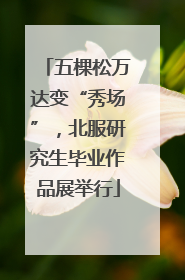 五棵松万达变“秀场”，北服研究生毕业作品展举行