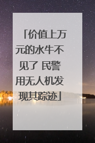 价值上万元的水牛不见了 民警用无人机发现其踪迹