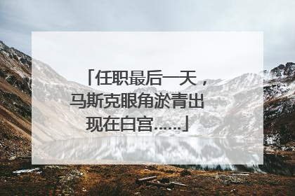 任职最后一天，马斯克眼角淤青出现在白宫……
