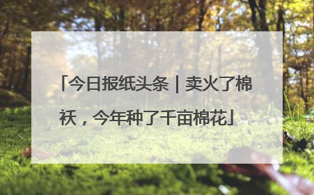今日报纸头条｜卖火了棉袄，今年种了千亩棉花