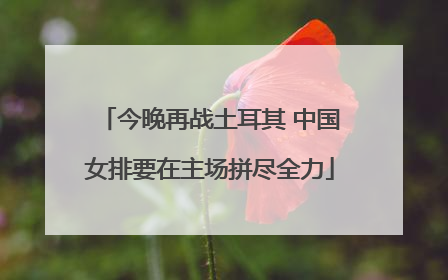 今晚再战土耳其 中国女排要在主场拼尽全力