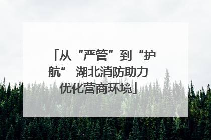 从“严管”到“护航” 湖北消防助力优化营商环境