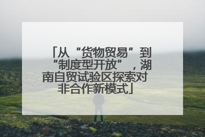 从“货物贸易”到“制度型开放”，湖南自贸试验区探索对非合作新模式