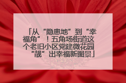 从“隐患地”到“幸福角”！五角场街道这个老旧小区党建微花园“靓”出幸福新图景