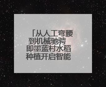 从人工弯腰到机械驰骋 即墨蓝村水稻种植开启智能农耕新模式