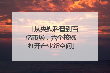 从央媒科普到百亿市场，六个核桃打开产业新空间