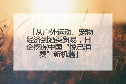从户外运动、宠物经济到酒类贸易，日企挖掘中国“悦己消费”新机遇