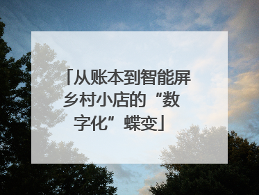 从账本到智能屏 乡村小店的“数字化”蝶变