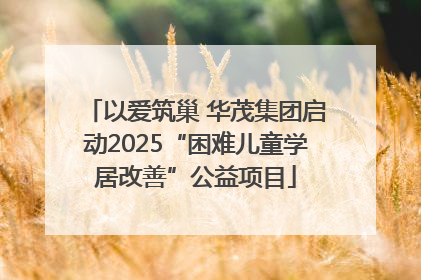 以爱筑巢 华茂集团启动2025“困难儿童学居改善”公益项目