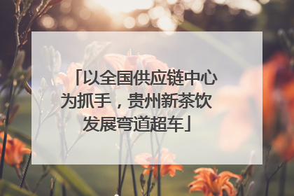 以全国供应链中心为抓手，贵州新茶饮发展弯道超车