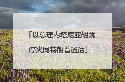 以总理内塔尼亚胡就停火同特朗普通话