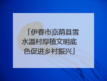 伊春市嘉荫县雪水温村厚植文明底色促进乡村振兴