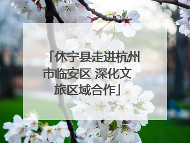 休宁县走进杭州市临安区 深化文旅区域合作