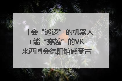 会“巡逻”的机器人+能“穿越”的VR 来西博会德阳馆感受古蜀文明与现代智造的时空对话｜西博视界