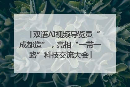 双语AI视频导览员“成都造”，亮相“一带一路”科技交流大会