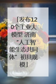 发布120个工业大模型 济南 “人工智能生态共同体”初具规模