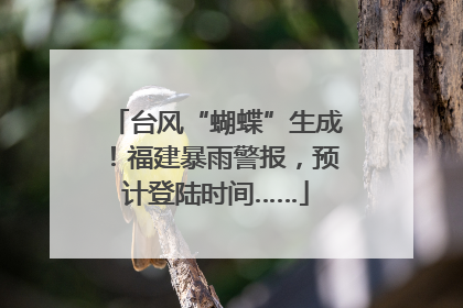台风“蝴蝶”生成！福建暴雨警报，预计登陆时间……