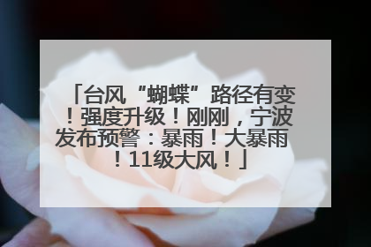台风“蝴蝶”路径有变！强度升级！刚刚，宁波发布预警：暴雨！大暴雨！11级大风！