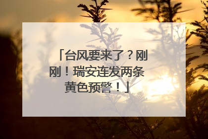 台风要来了？刚刚！瑞安连发两条黄色预警！