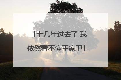 十几年过去了 我依然看不懂王家卫