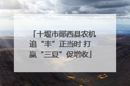 十堰市郧西县农机追“丰”正当时 打赢“三夏”促增收