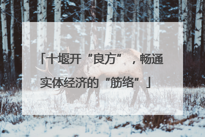 十堰开“良方”，畅通实体经济的“筋络”